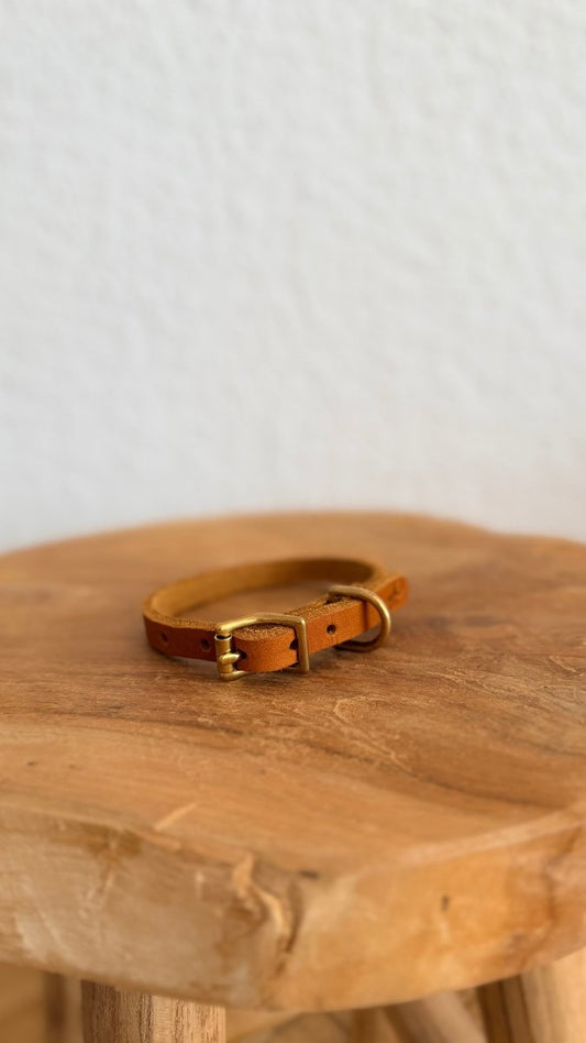 Mini - Halsband Fettleder 10mm COGNAC HU 24 - RudisRudel