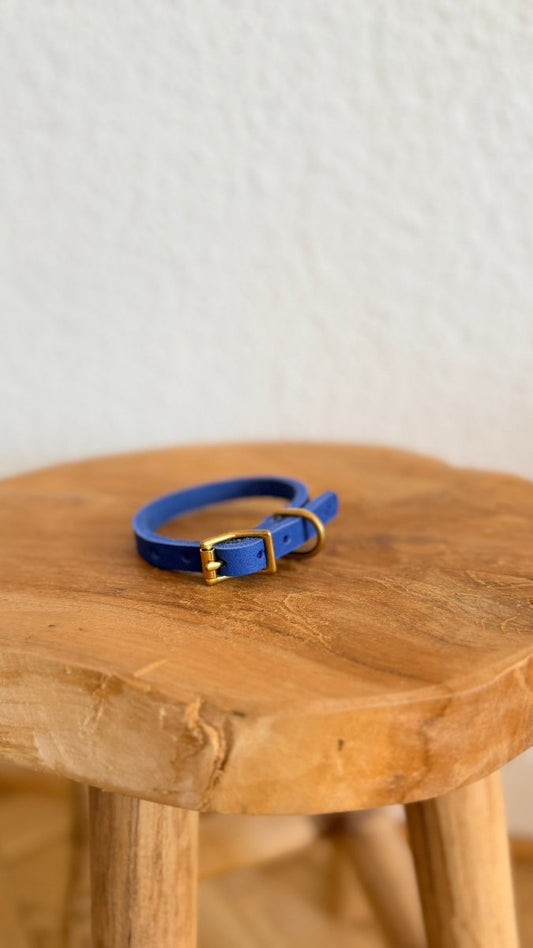 Mini - Halsband Fettleder 10mm ELECTRIC BLAU HU 22 - RudisRudel