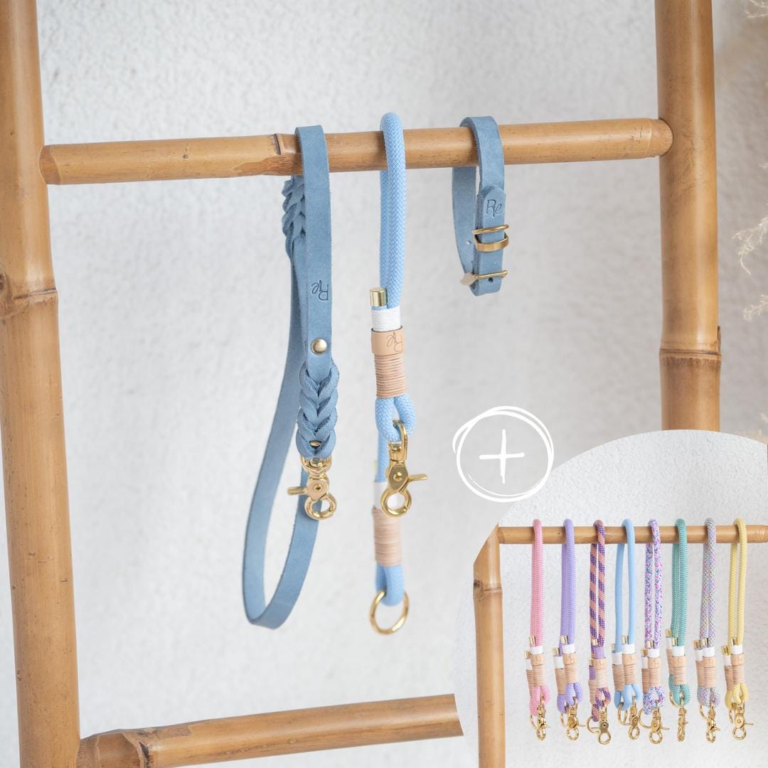 Mix & Match Bundle | 3 - teilige Leine + Lederhalsband | PASTEL DREAMS - RudisRudel