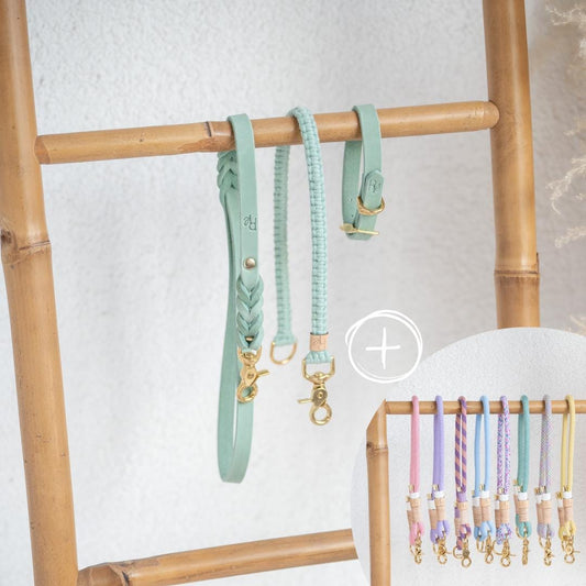 Mix & Match Bundle | 3 - teilige Leine + Lederhalsband | PASTEL DREAMS - RudisRudel