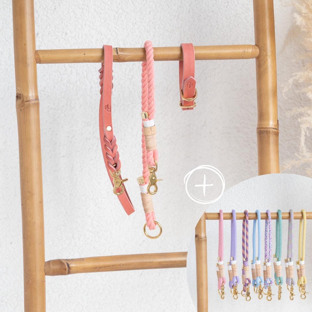 Mix & Match Bundle | 3 - teilige Leine + Lederhalsband | PASTEL DREAMS - RudisRudel