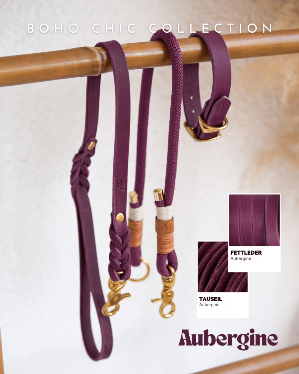 Mix & Match Leinen-Set | Handschlaufe + Halsband Fettleder & Unterteil Tauseil | BOHO CHIC - RudisRudel