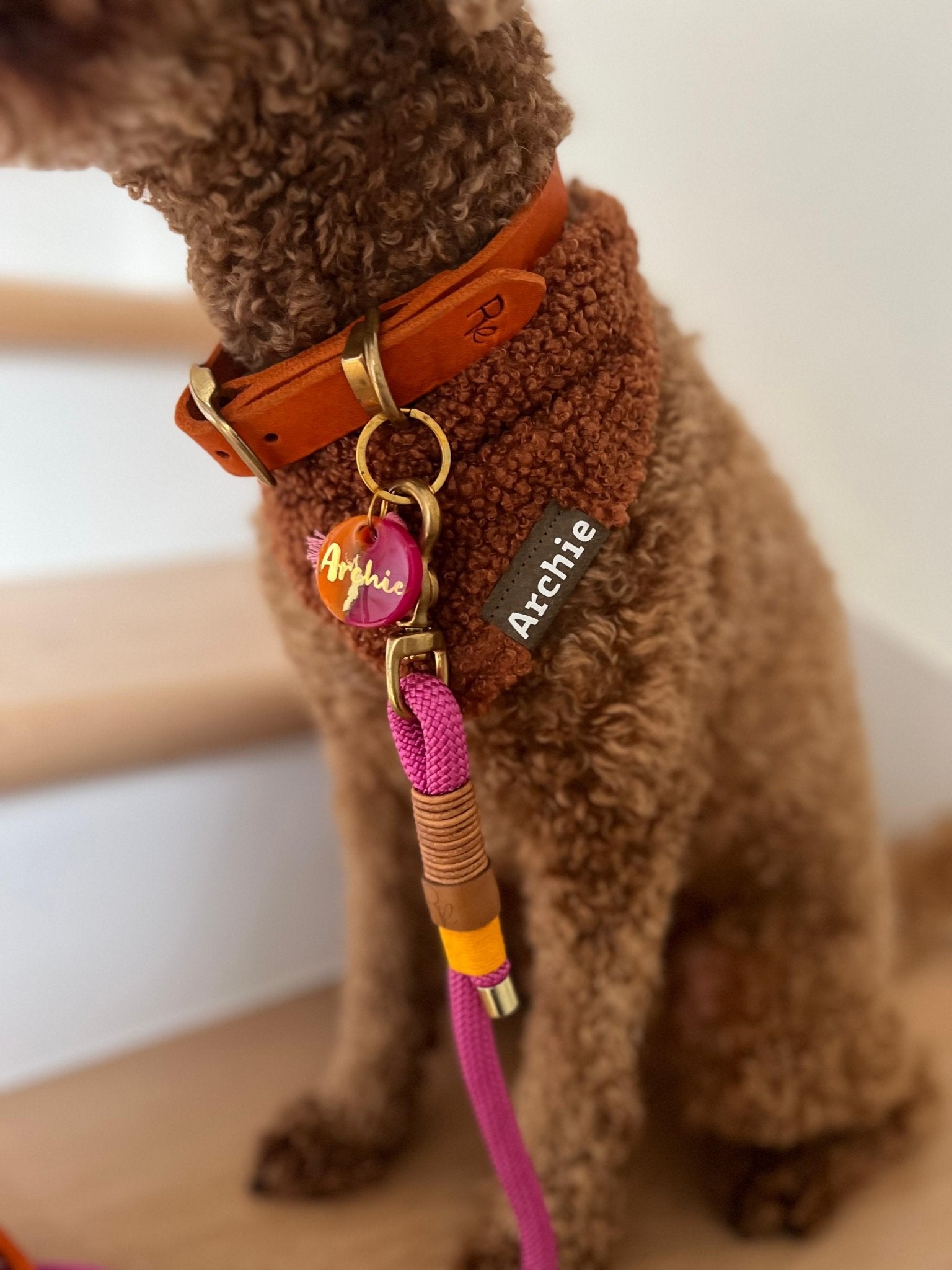 Mix & Match Set | Handschlaufe + Halsband Fettleder & Unterteil Baumwollseil | COLOUR CLASH - RudisRudel