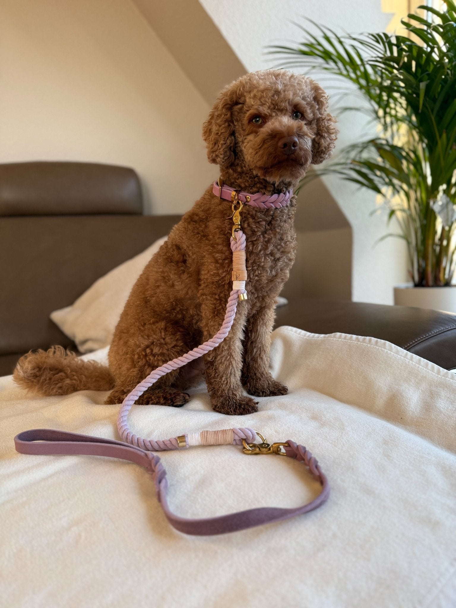 Mix & Match Set | Handschlaufe + Halsband Fettleder & Unterteil Baumwollseil | PASTEL DREAMS - RudisRudel
