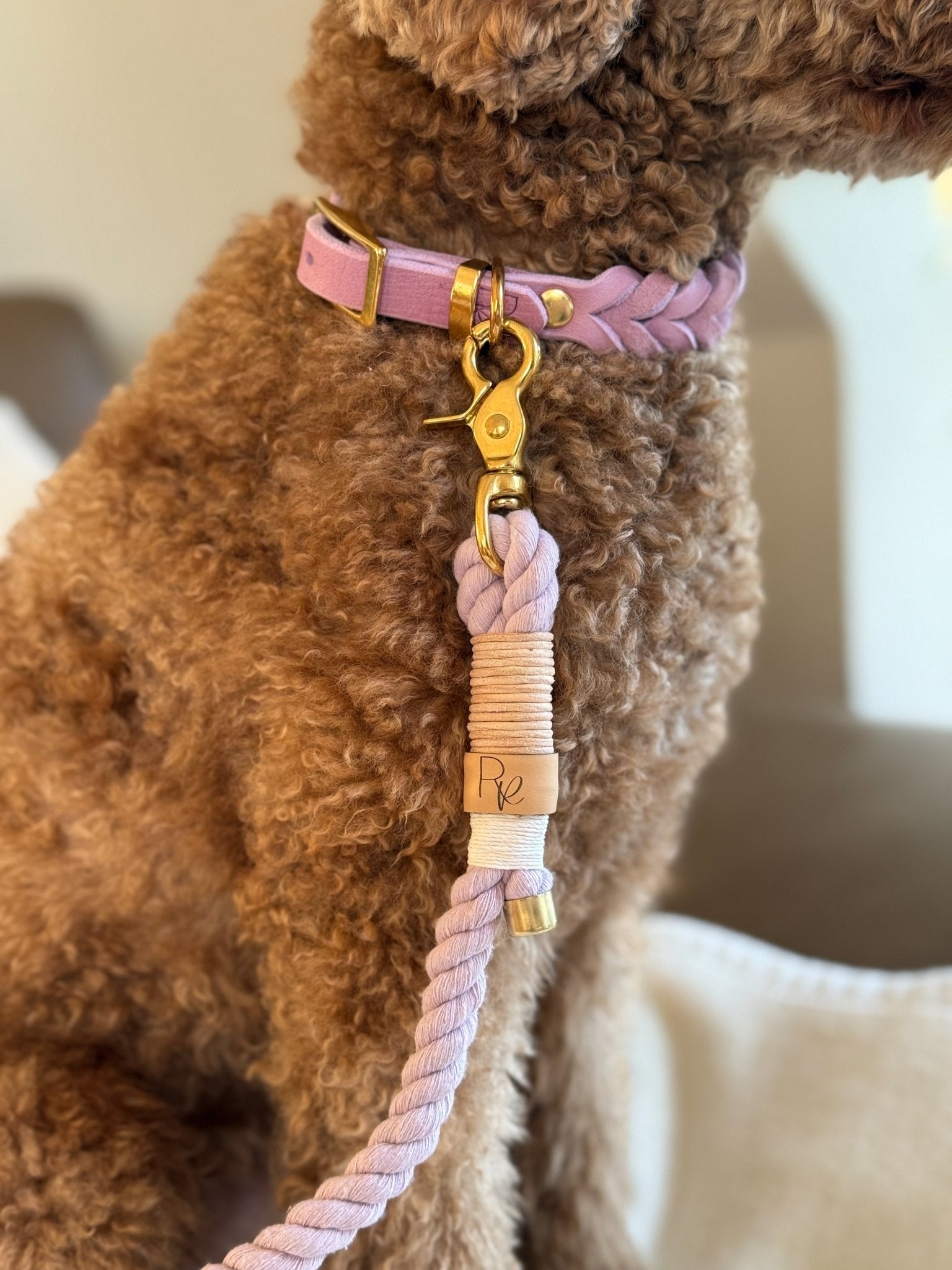 Mix & Match Set | Handschlaufe + Halsband Fettleder & Unterteil Baumwollseil | PASTEL DREAMS - RudisRudel