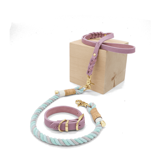 Mix & Match Set | Handschlaufe + Halsband Fettleder & Unterteil Baumwollseil | PASTEL DREAMS - RudisRudel