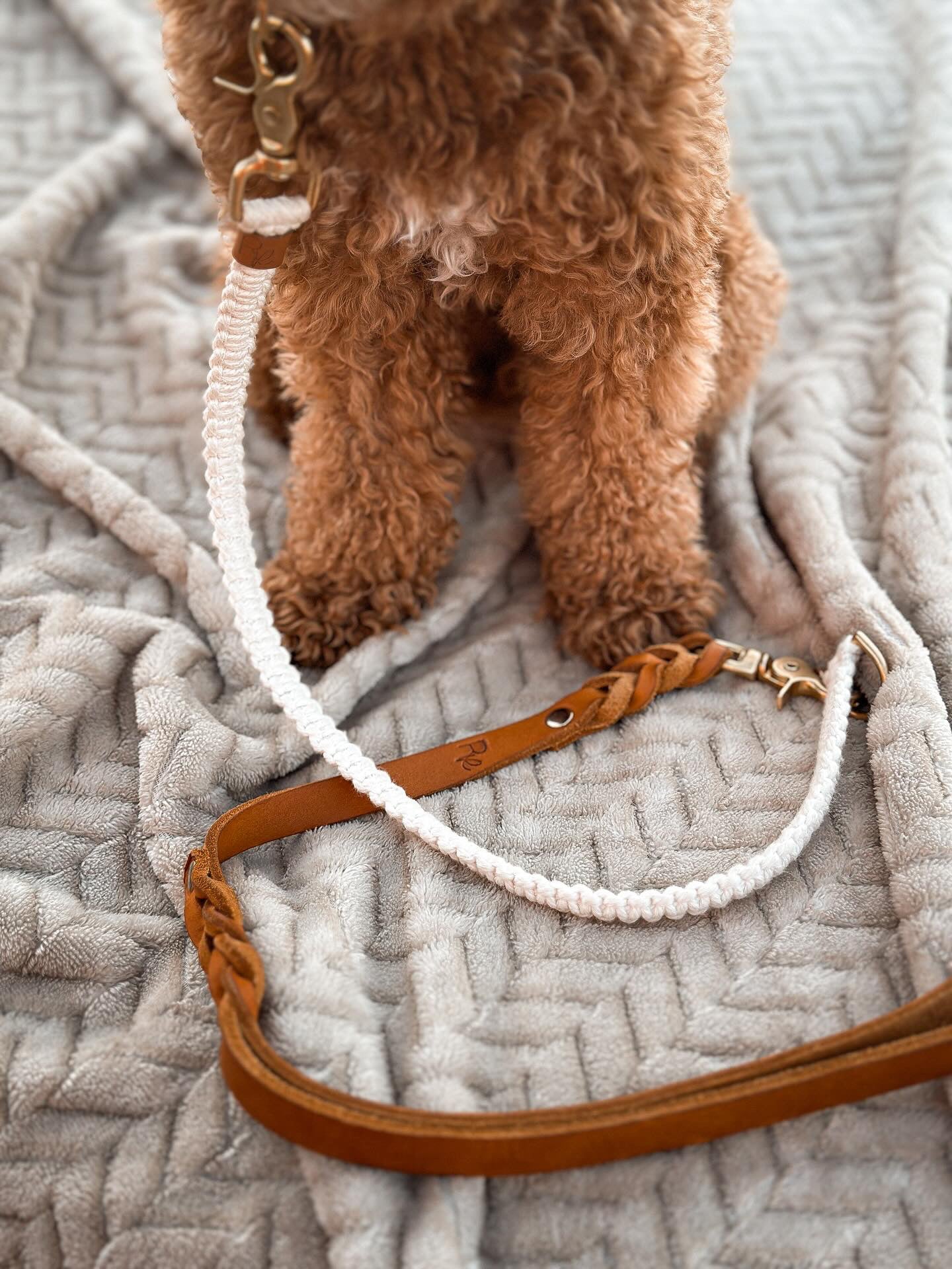 Mix & Match Set | Handschlaufe + Halsband Fettleder & Unterteil Makramee | BOHO CHIC - RudisRudel