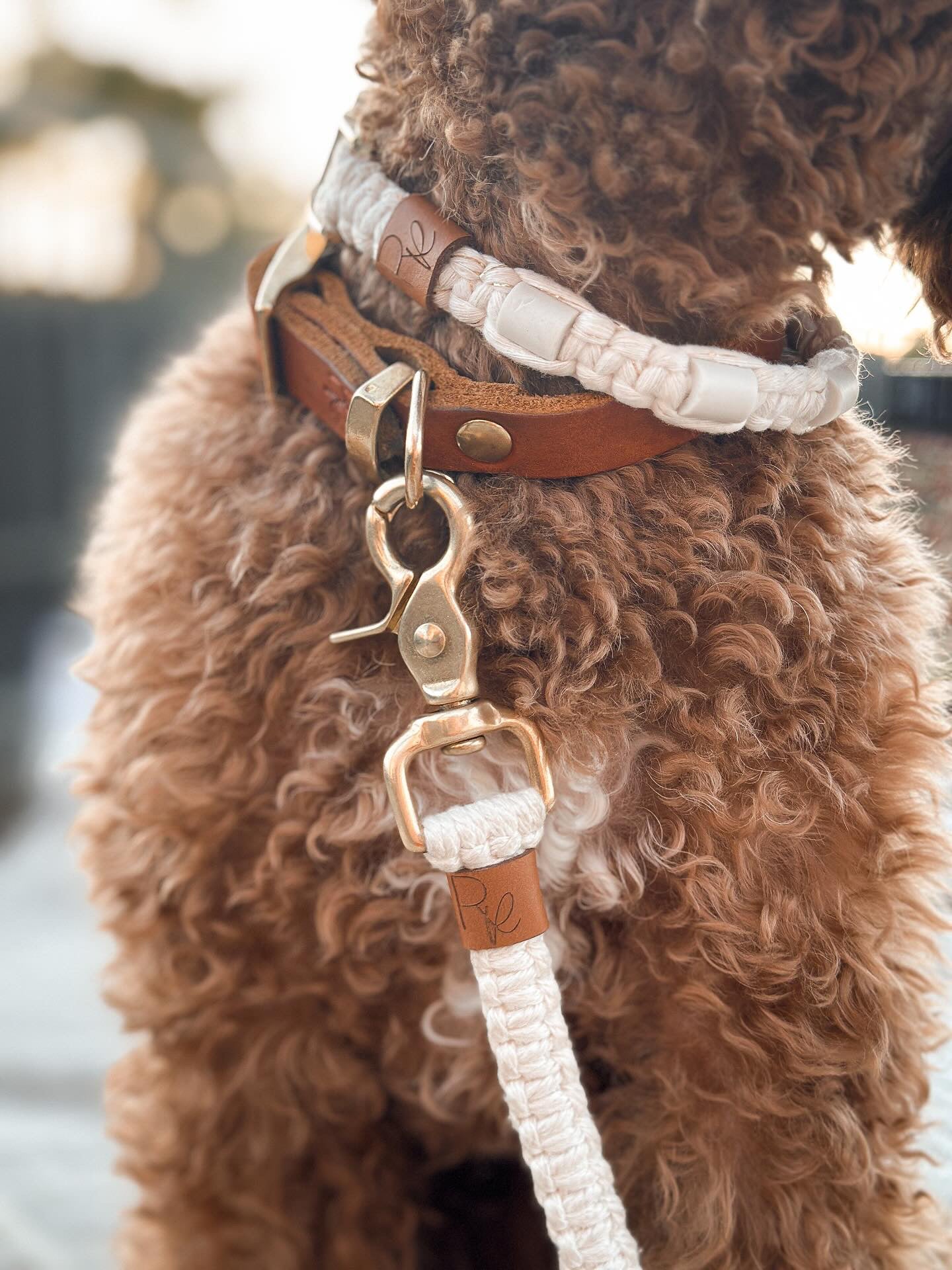 Mix & Match Set | Handschlaufe + Halsband Fettleder & Unterteil Makramee | BOHO CHIC - RudisRudel