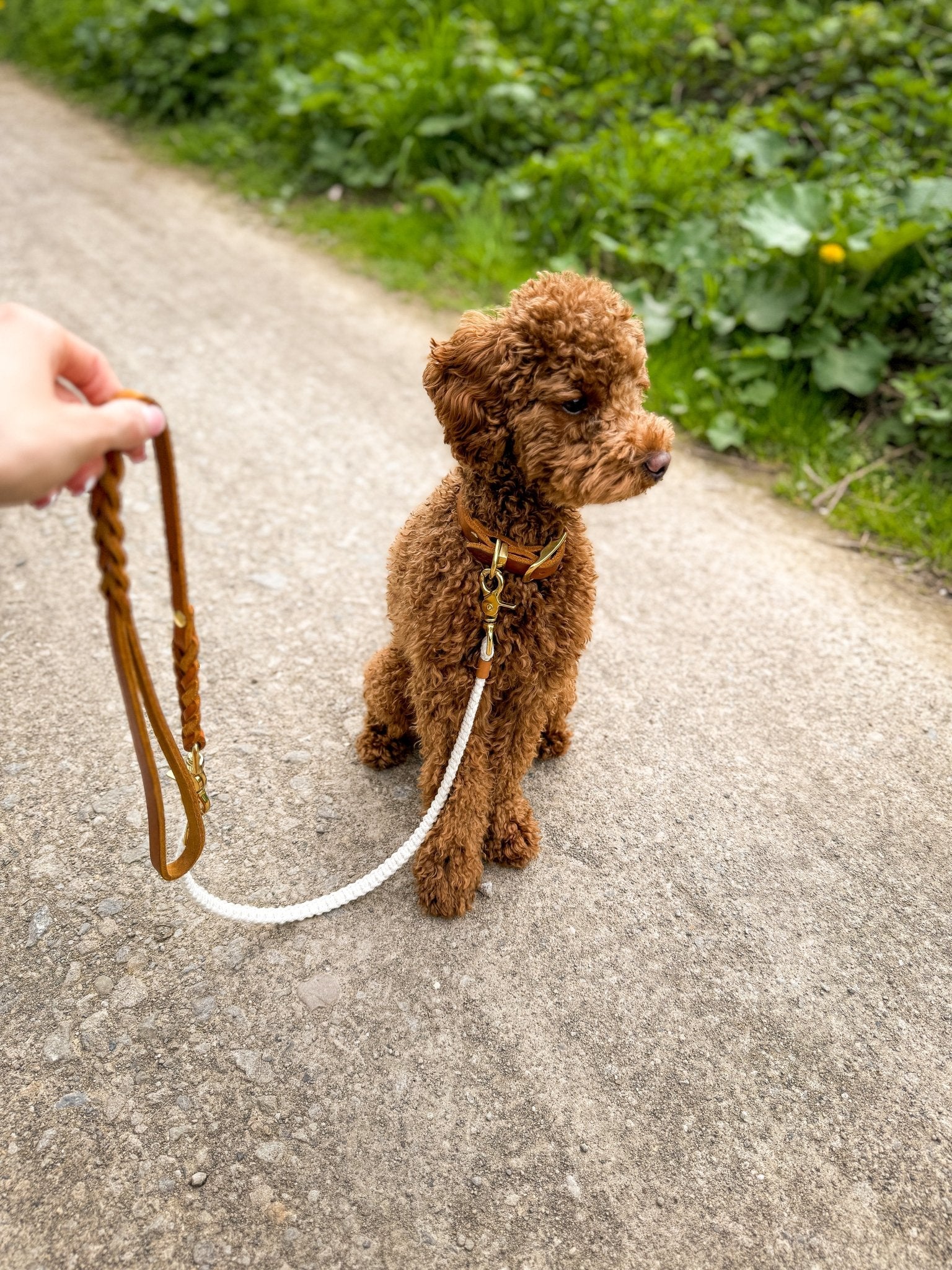 Mix & Match Set | Handschlaufe + Halsband Fettleder & Unterteil Makramee | BOHO CHIC - RudisRudel