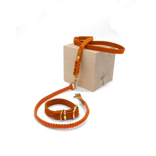 Mix & Match Set | Handschlaufe + Halsband Fettleder & Unterteil Makramee | COLOUR CLASH - RudisRudel