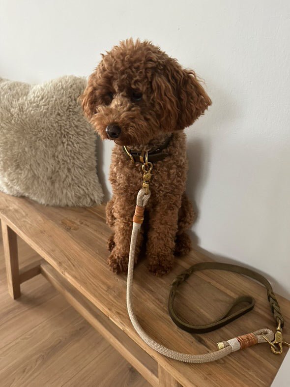 Mix & Match Set | Handschlaufe + Halsband Fettleder & Unterteil Tauseil | BOHO CHIC - RudisRudel
