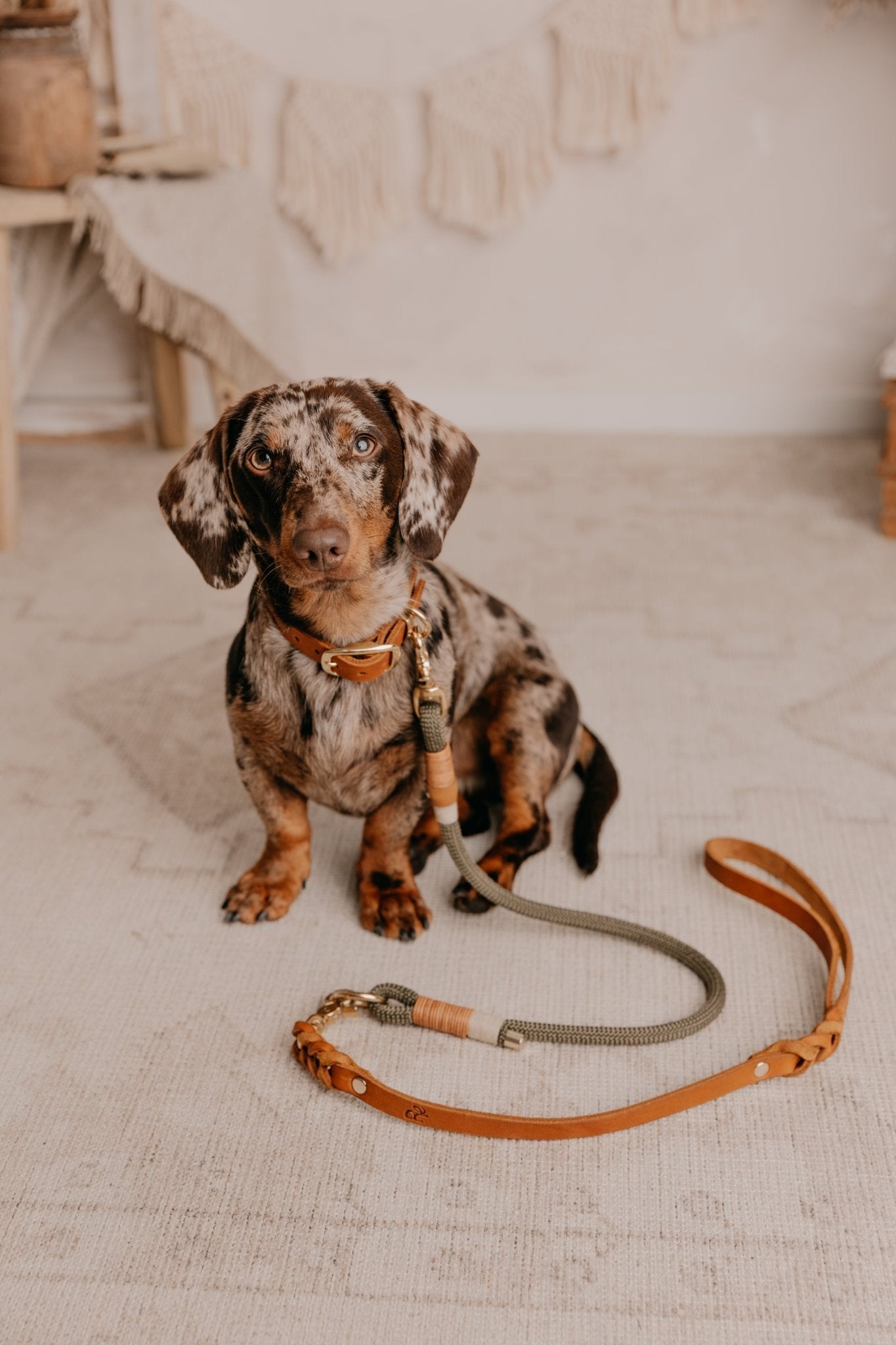 Mix & Match Set | Handschlaufe + Halsband Fettleder & Unterteil Tauseil | BOHO CHIC - RudisRudel