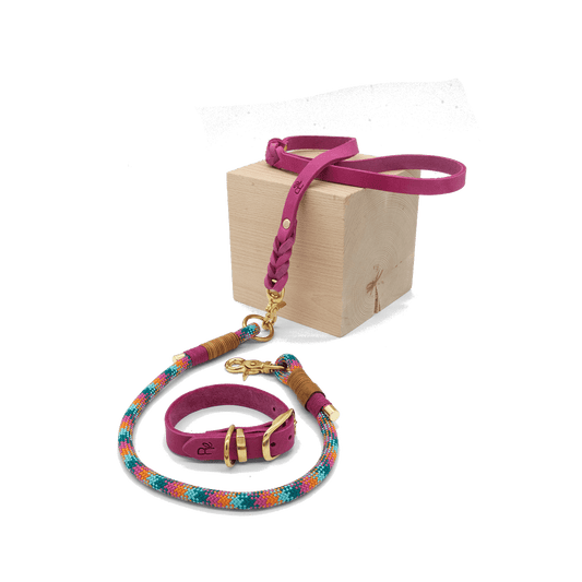Mix & Match Set | Handschlaufe + Halsband Fettleder & Unterteil Tauseil | COLOUR CLASH - RudisRudel