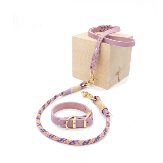 Mix & Match Set | Handschlaufe + Halsband Fettleder & Unterteil Tauseil | PASTEL DREAMS - RudisRudel