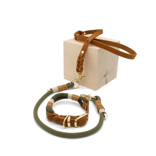 Mix & Match Set | Tau x Lederhalsband | BOHO CHIC - RudisRudel