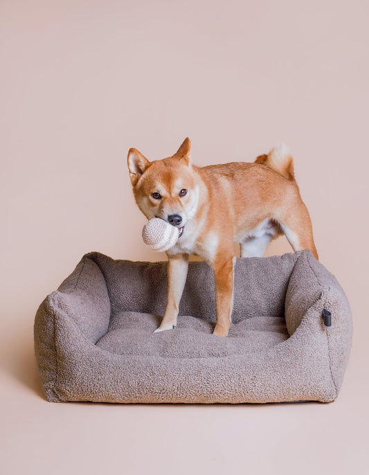 RAINBOW | Spielball - RudisRudel