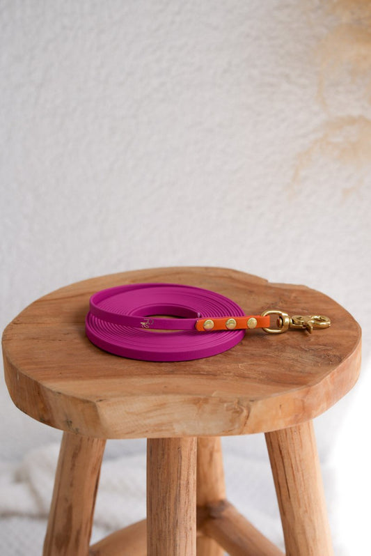 Schleppleine aus Biothane | COLOUR MIX | ALL COLLECTIONS - RudisRudel