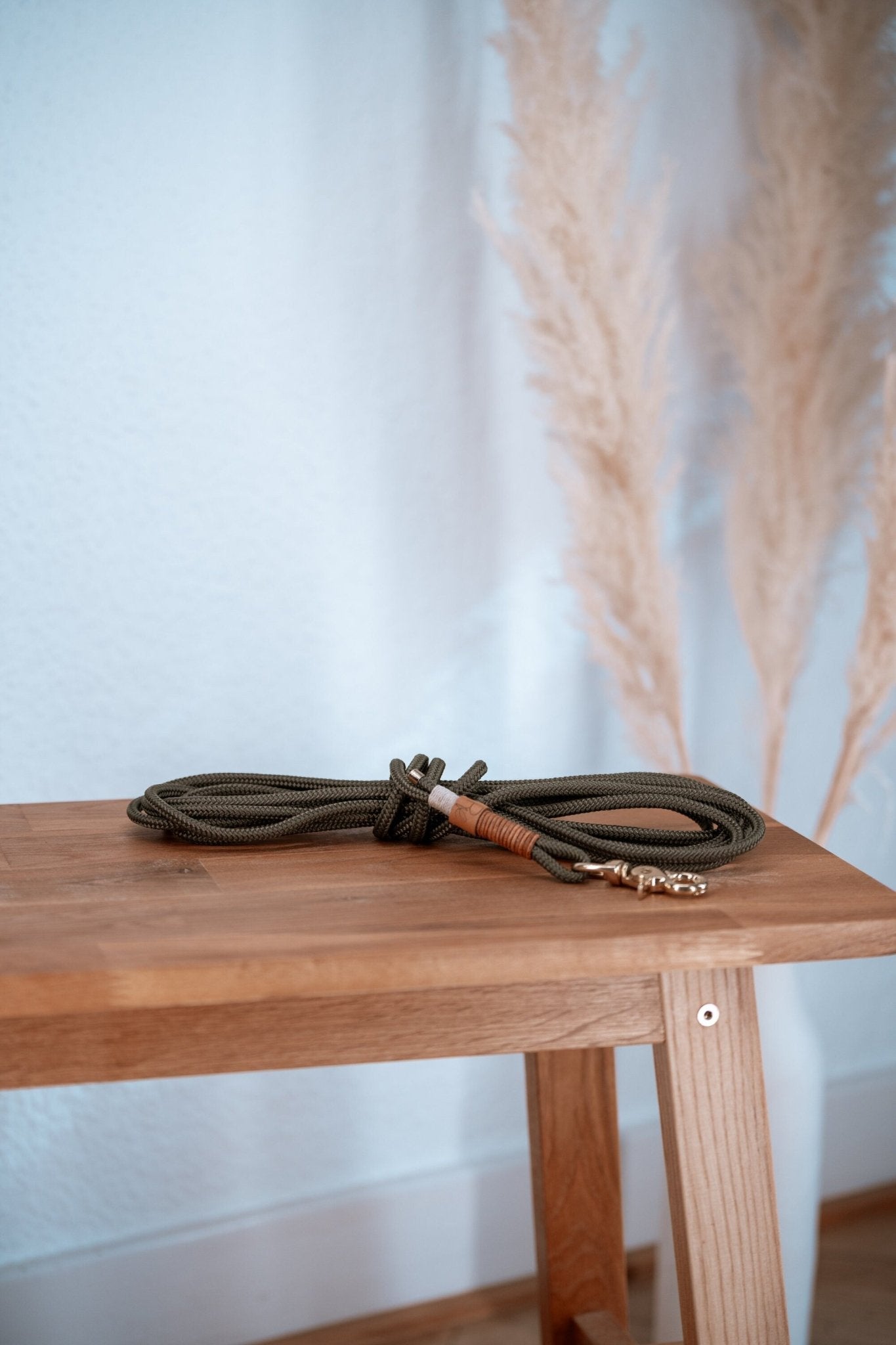 Schleppleine aus Paracord | BOHO CHIC - RudisRudel