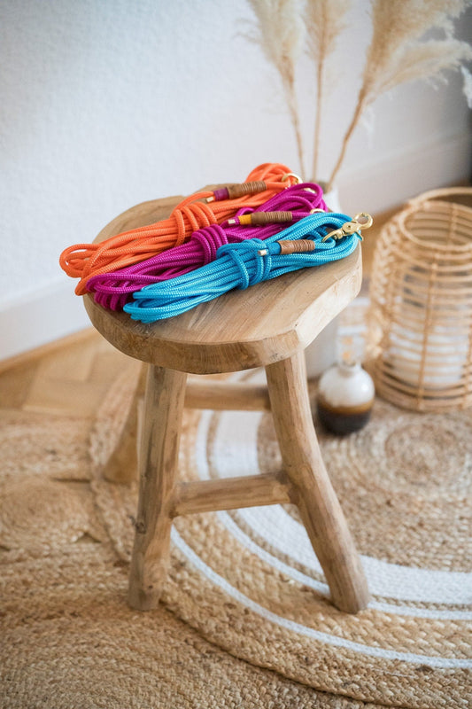 Schleppleine aus Paracord | COLOUR CLASH - RudisRudel
