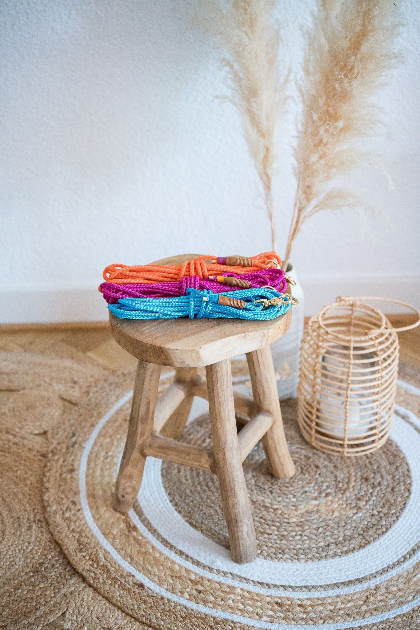 Schleppleine aus Paracord | COLOUR CLASH - RudisRudel