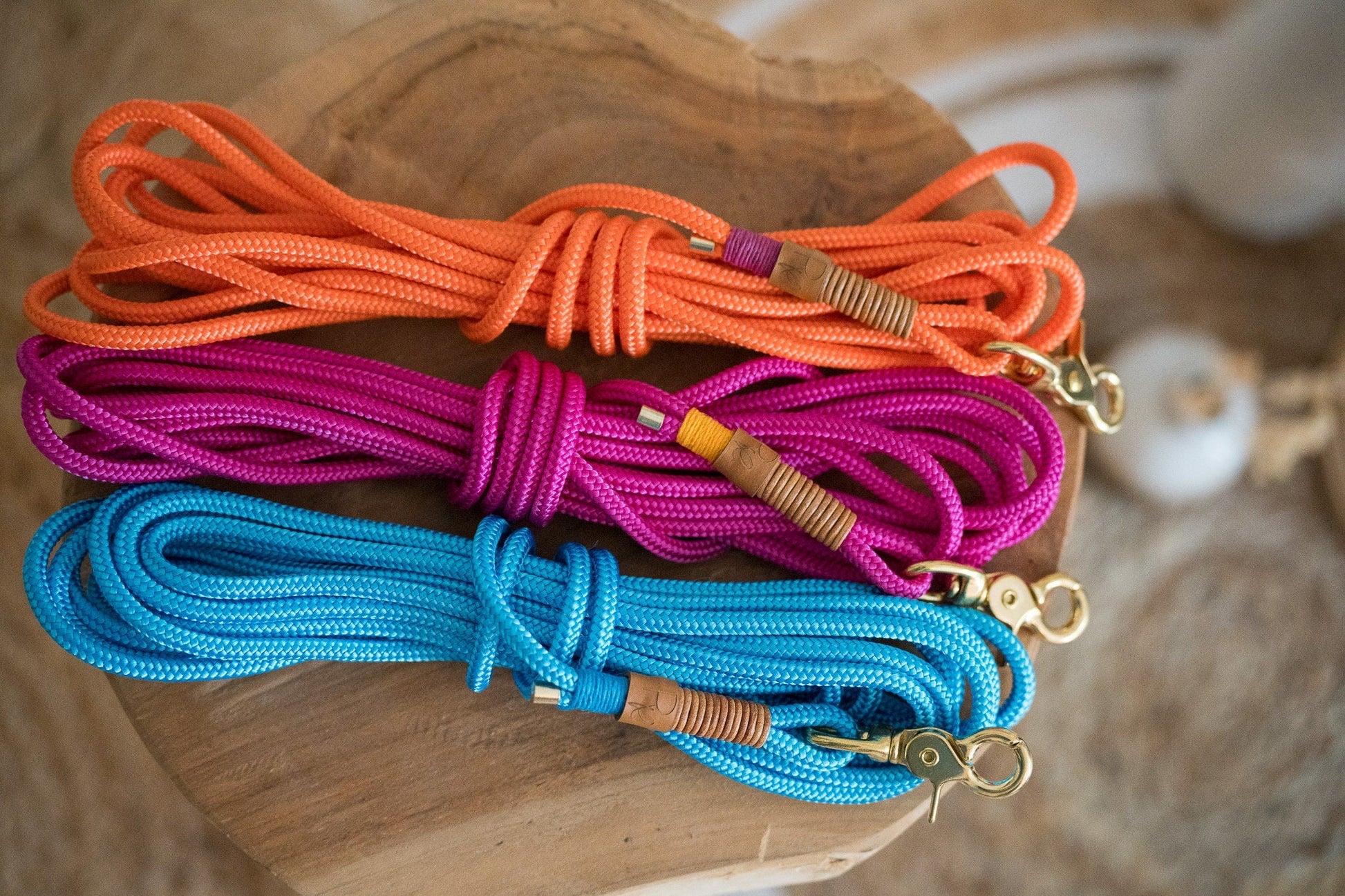 Schleppleine aus Paracord | COLOUR CLASH - RudisRudel