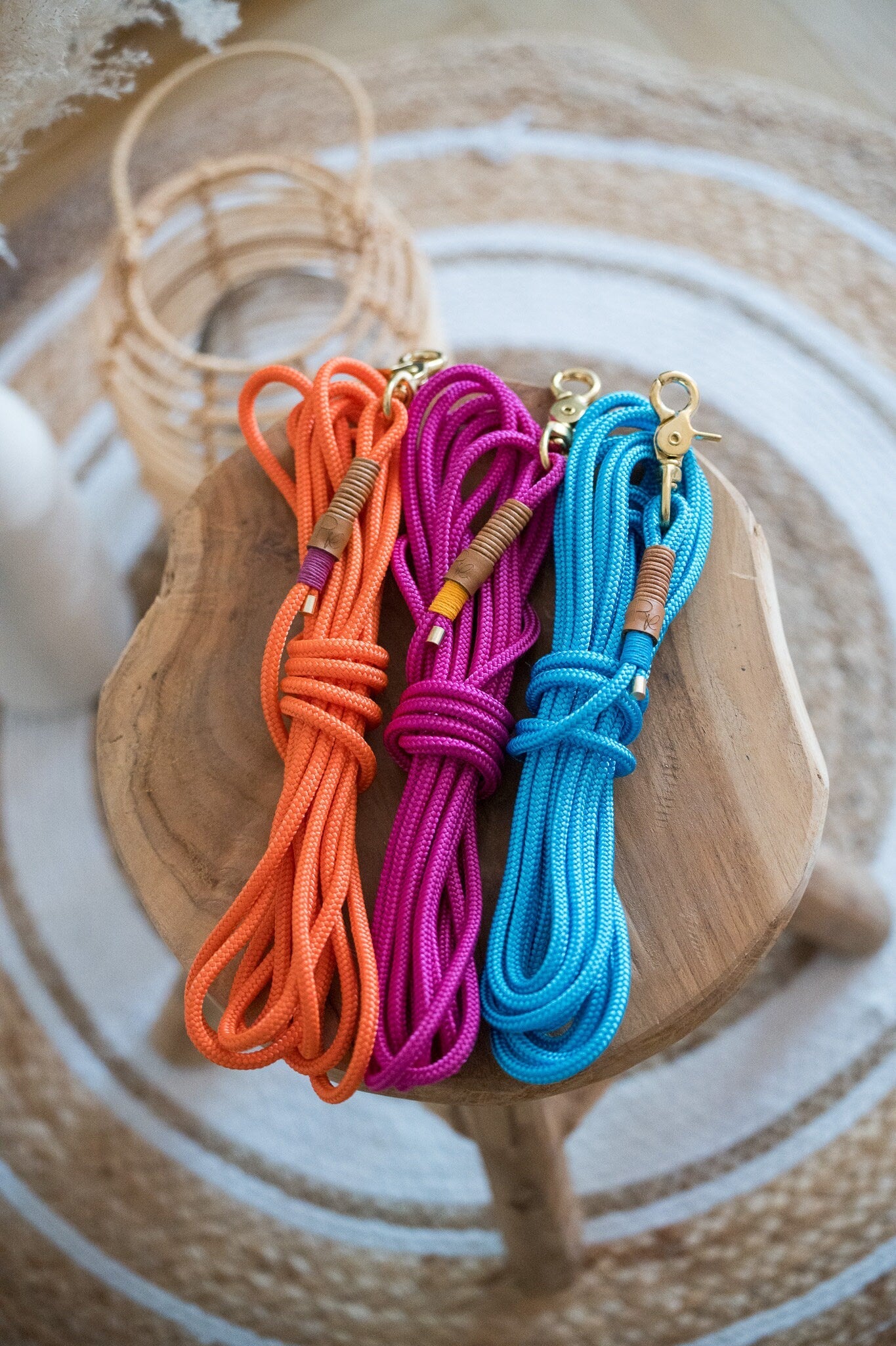 Schleppleine aus Paracord | COLOUR CLASH - RudisRudel