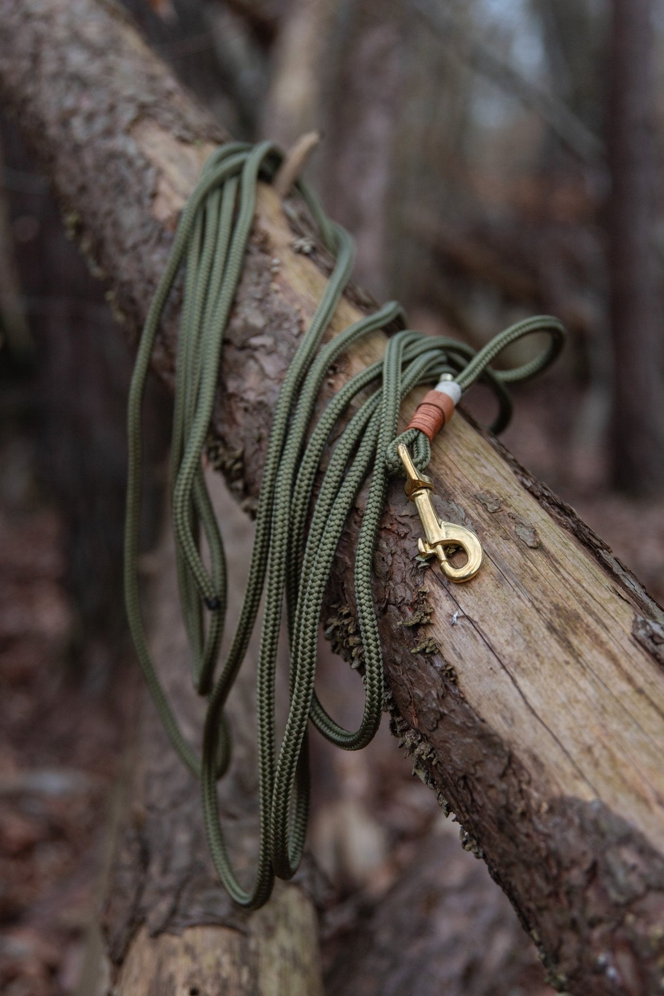 Schleppleine aus Paracord (für größere Hunde) | BOHO CHIC - RudisRudel