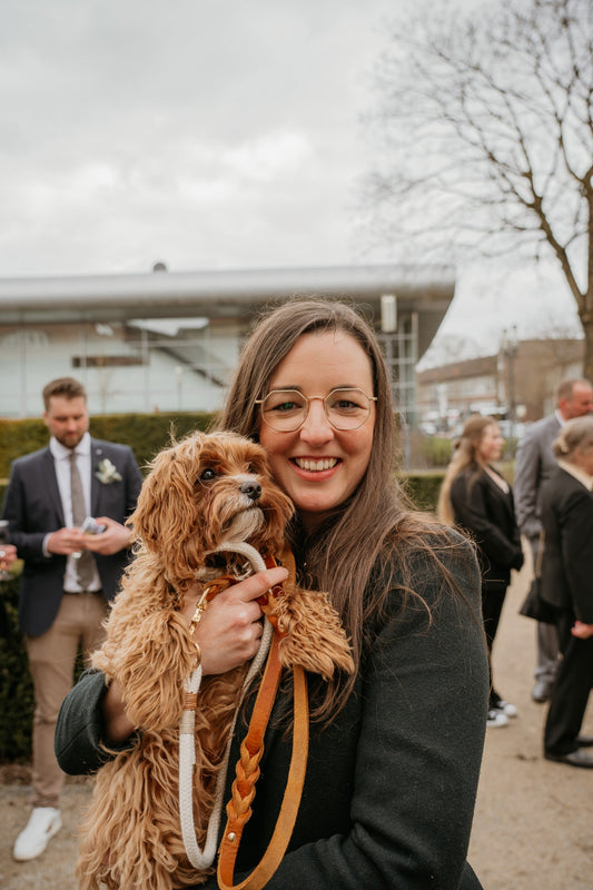 Hochzeit mit Hund: 7 Ideen für den perfekten Ehrengast - RudisRudel