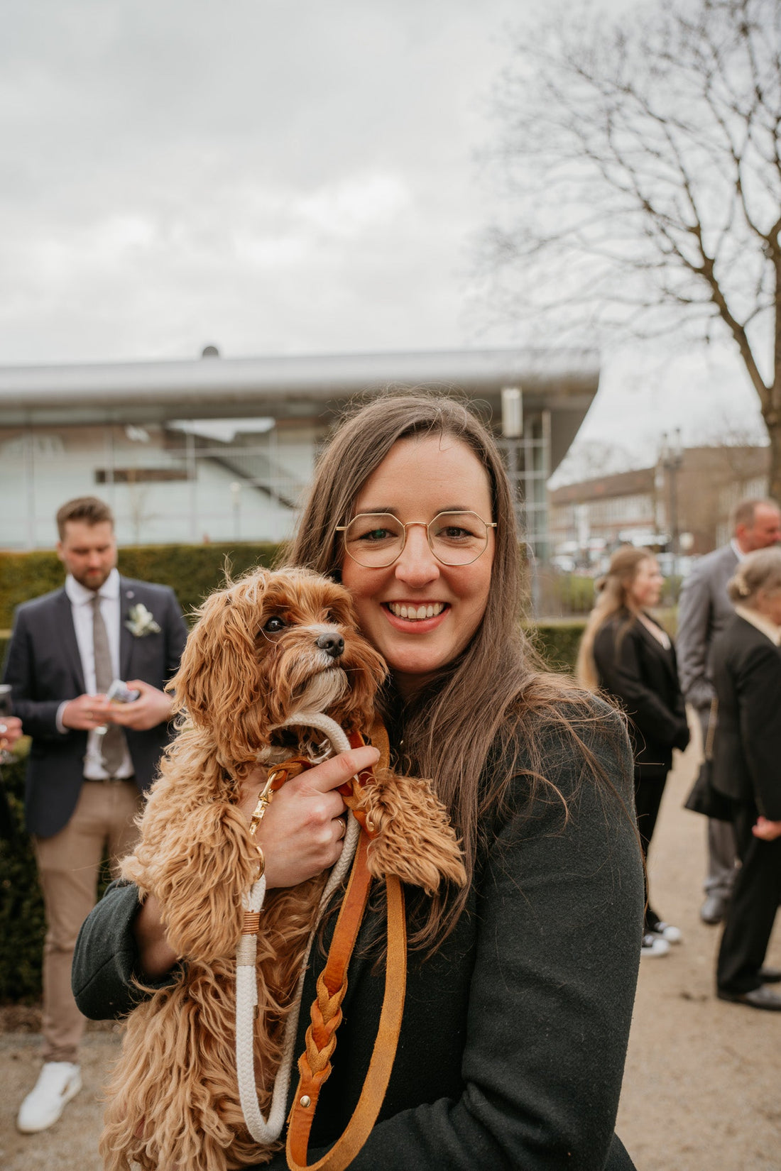 Cavoodle Ehrengast Hochzeit