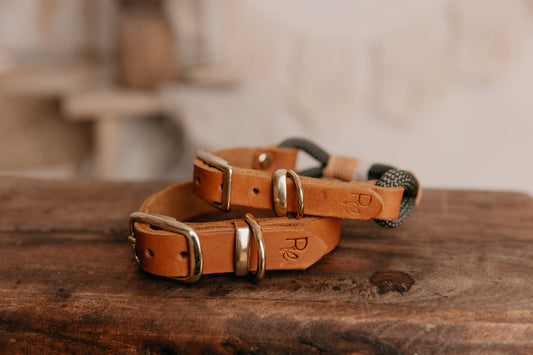 Stylische Hunde-Accessoires: So wird dein Hund zum Fashion-Statement - RudisRudel