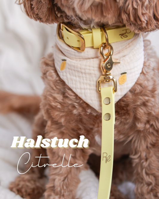 CITRELLE | Wendehalstuch mit Zitronen
