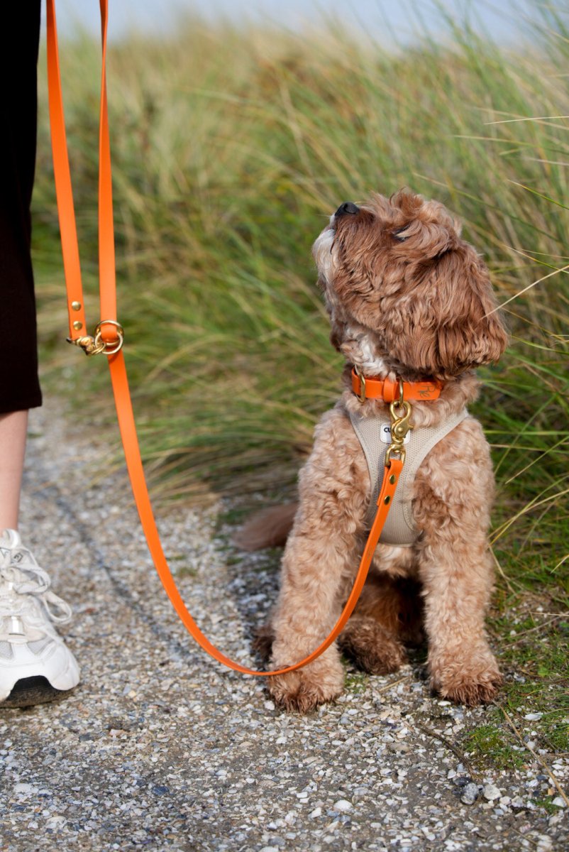 2 - fach - verstellbare Handschlaufe aus Biothane | BOHO CHIC - RudisRudel