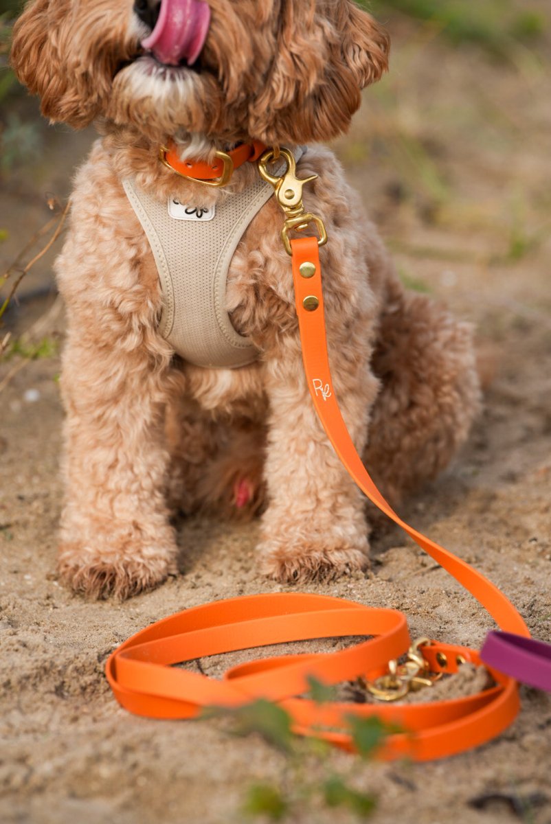 2 - fach - verstellbare Handschlaufe aus Biothane | BOHO CHIC - RudisRudel