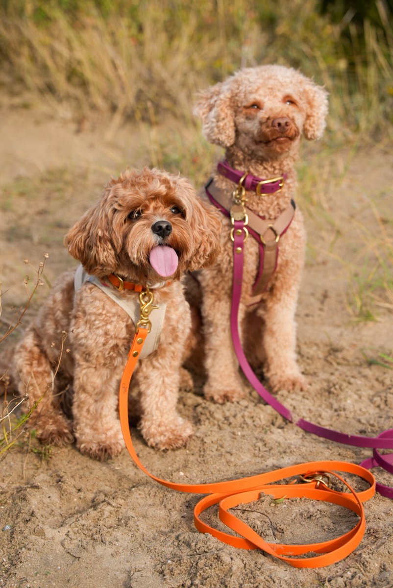 2 - fach - verstellbare Handschlaufe aus Biothane | BOHO CHIC - RudisRudel
