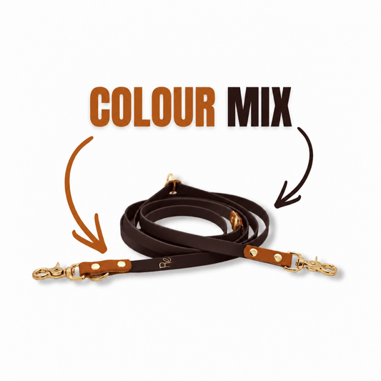 3-fach-verstellbare Umhängeleine aus Biothane | COLOUR MIX | ALL COLLECTIONS - RudisRudel