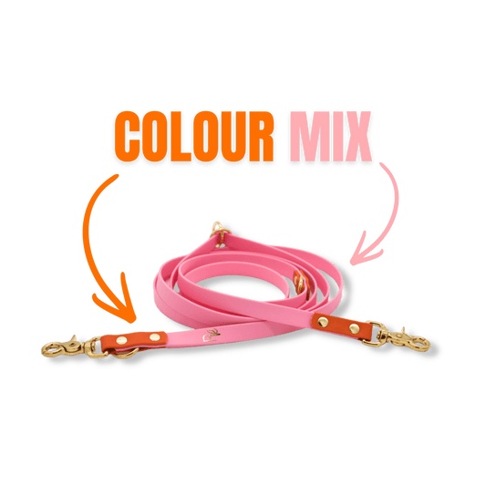 3-fach-verstellbare Umhängeleine aus Biothane | COLOUR MIX | ALL COLLECTIONS - RudisRudel