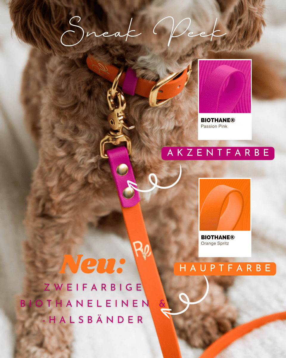 3-fach-verstellbare Umhängeleine aus Biothane | COLOUR MIX | ALL COLLECTIONS - RudisRudel