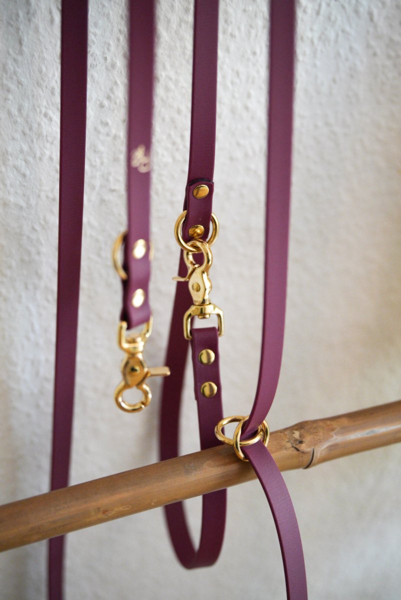 3 - fach - verstellbare Umhängeleine aus Biothane 19mm | SONDERFARBE & - BREITE BRAUN - RudisRudel