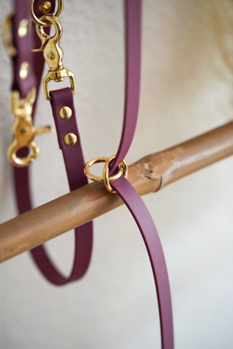 3 - fach - verstellbare Umhängeleine aus Biothane 19mm | SONDERFARBE & - BREITE BRAUN - RudisRudel