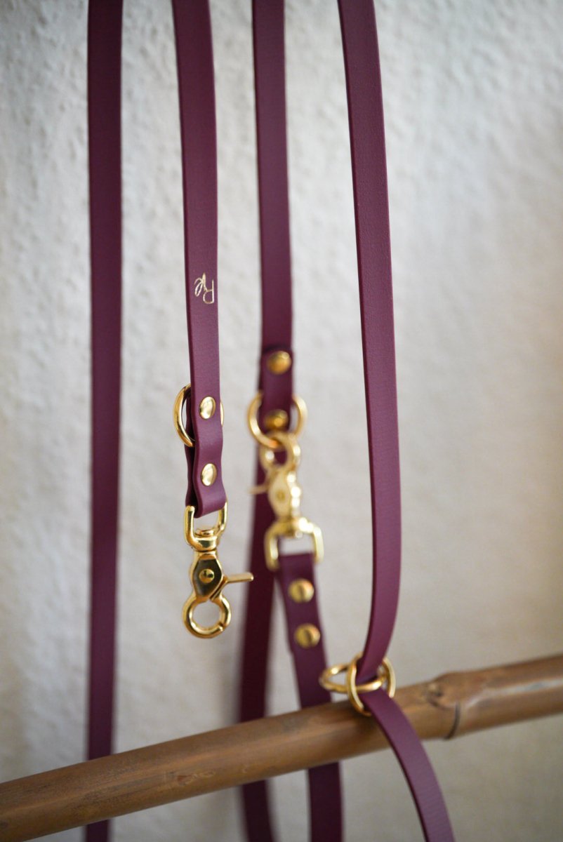 3 - fach - verstellbare Umhängeleine aus Biothane 19mm | SONDERFARBE & - BREITE BRAUN - RudisRudel