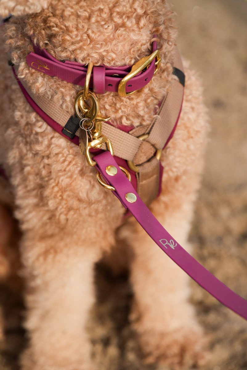 3 - fach - verstellbare Umhängeleine aus Biothane | BOHO CHIC - RudisRudel