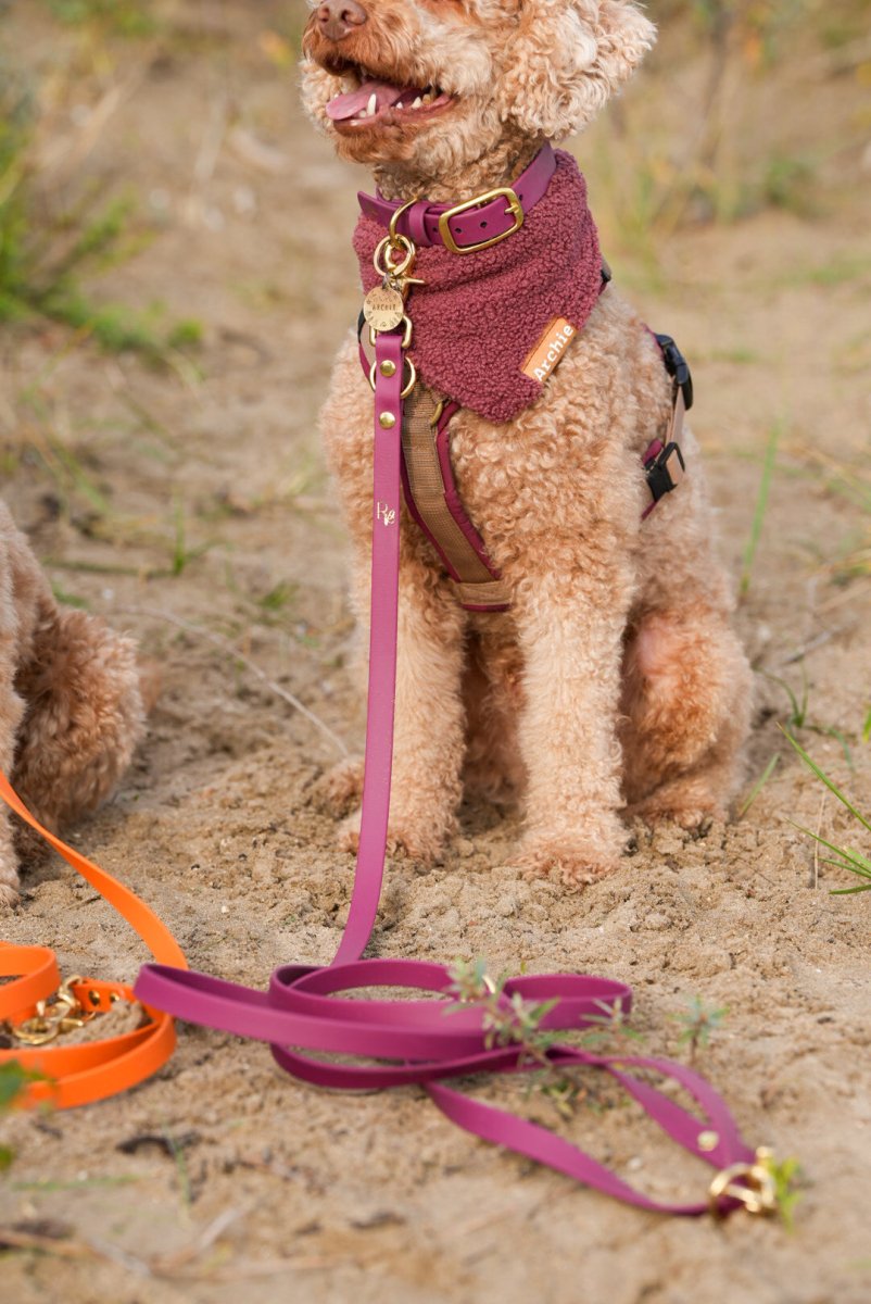 3 - fach - verstellbare Umhängeleine aus Biothane | BOHO CHIC - RudisRudel