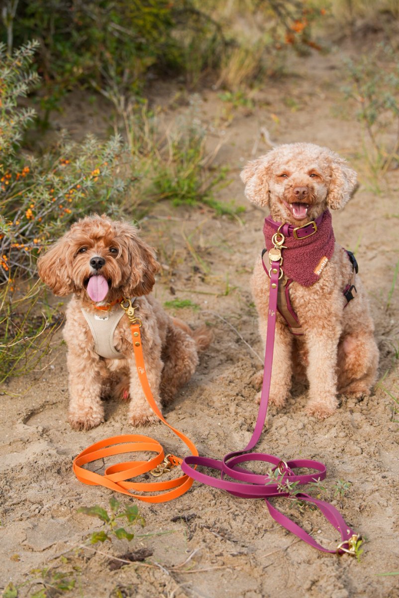 3 - fach - verstellbare Umhängeleine aus Biothane | BOHO CHIC - RudisRudel