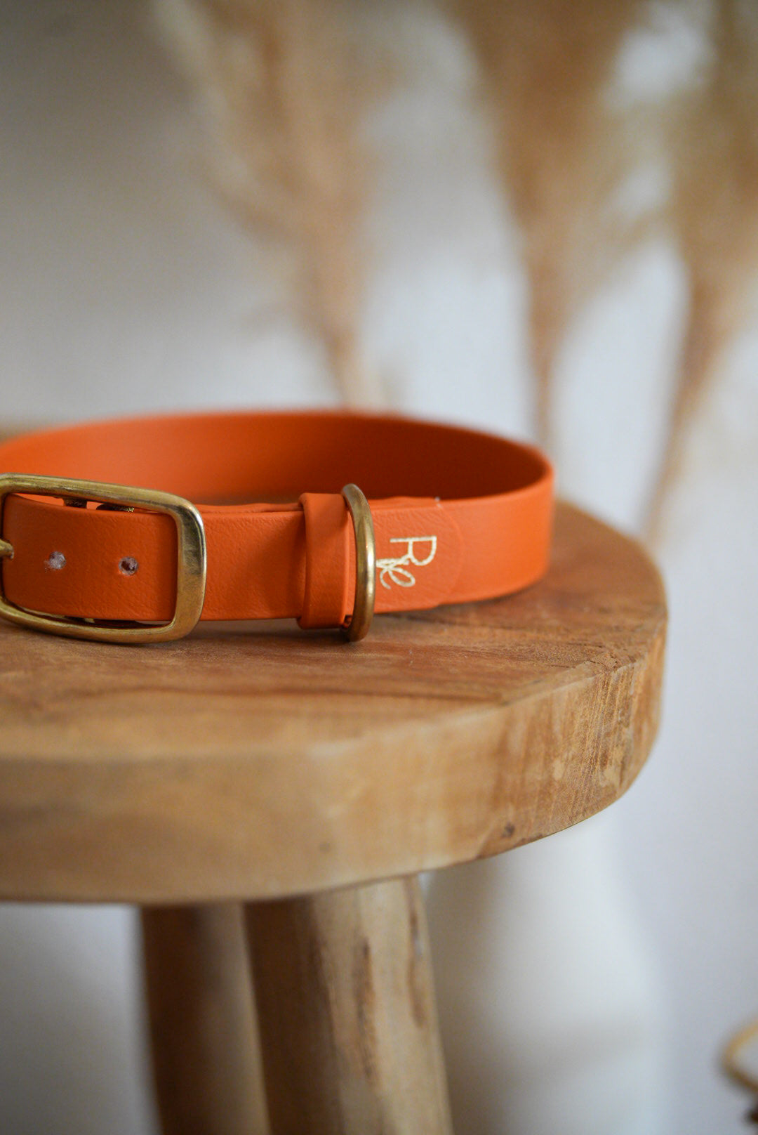 Halsband aus Biothane | BOHO CHIC