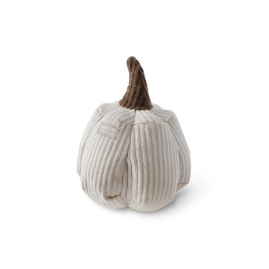 BOO | Schnüffelkürbis
