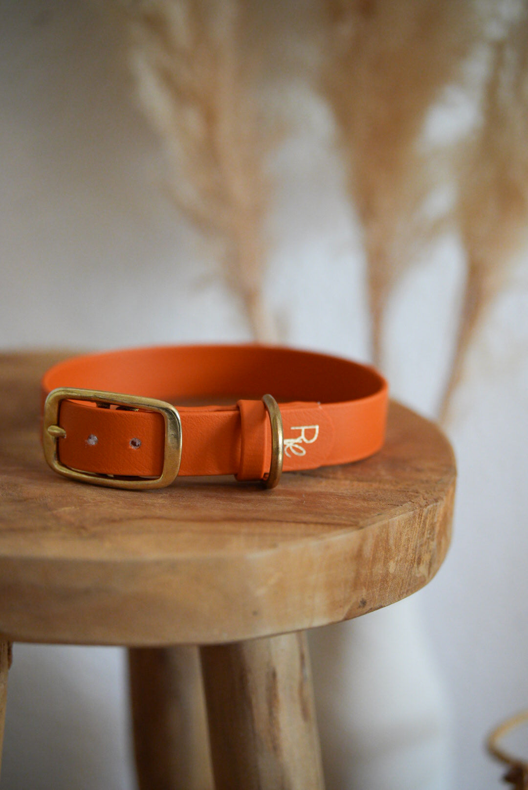 Halsband aus Biothane | BOHO CHIC