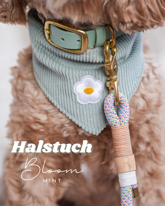 BLOOM | Wendehalstuch mint