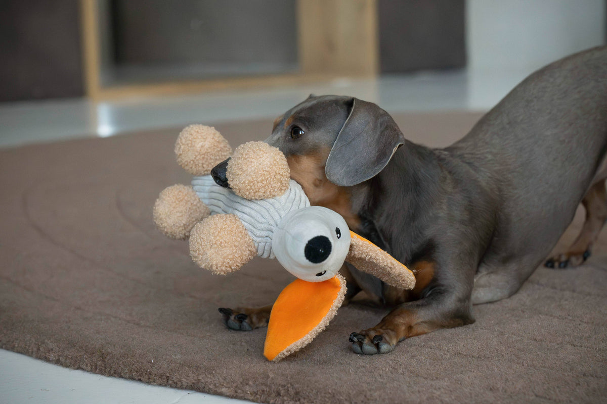 MICKY | Hundespielzeug, grau