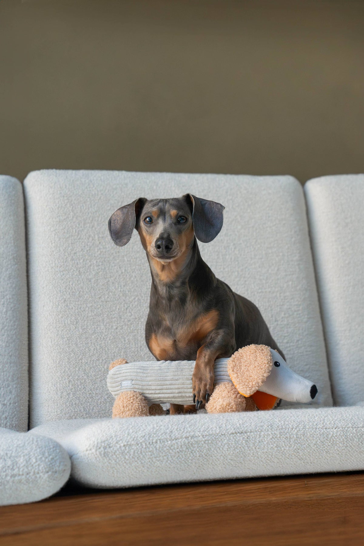 MICKY | Hundespielzeug, grau