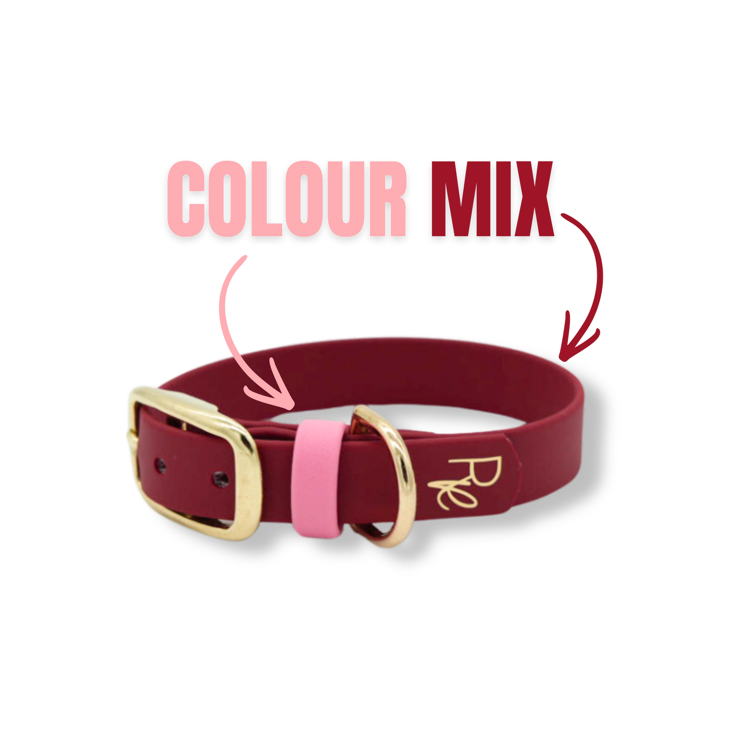 Halsband aus Biothane | COLOUR MIX | ALL COLLECTIONS